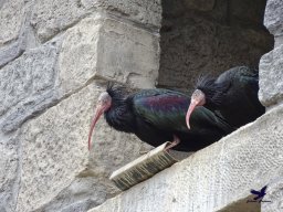 Tiergarten Schönbrunn am 24.02.2026